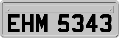 EHM5343