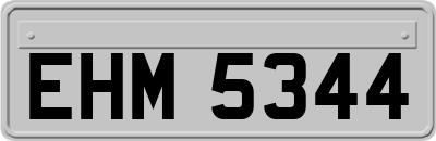 EHM5344