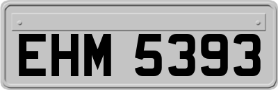EHM5393
