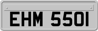 EHM5501