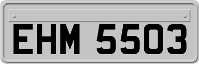 EHM5503