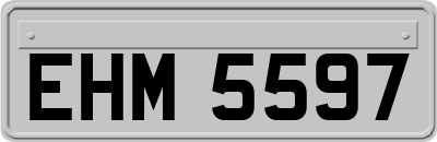 EHM5597