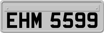 EHM5599