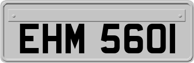 EHM5601