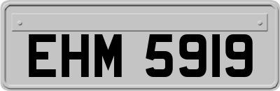EHM5919