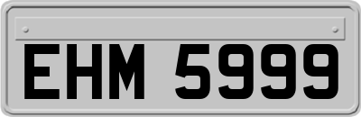 EHM5999