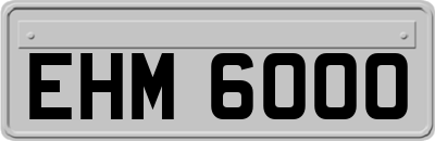 EHM6000