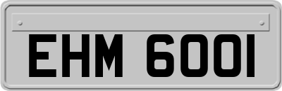 EHM6001