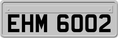 EHM6002