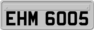 EHM6005