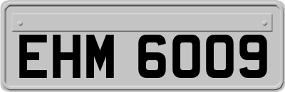EHM6009