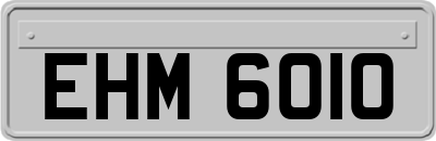 EHM6010