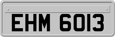 EHM6013