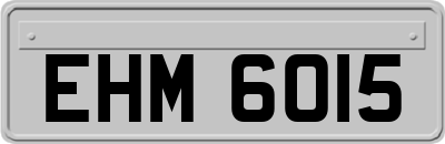 EHM6015