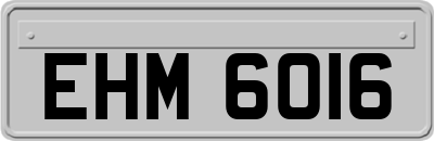 EHM6016