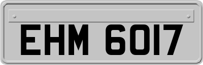 EHM6017