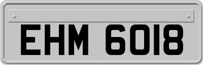 EHM6018