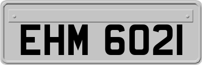 EHM6021
