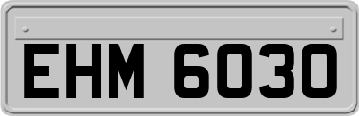 EHM6030