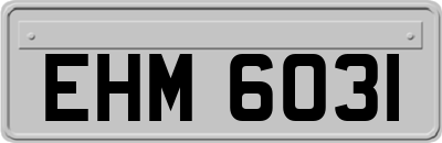 EHM6031