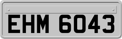 EHM6043
