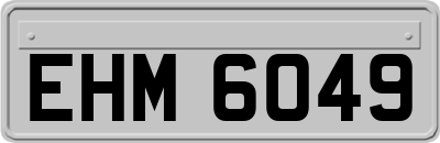 EHM6049