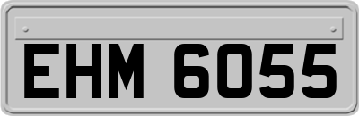 EHM6055