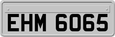 EHM6065