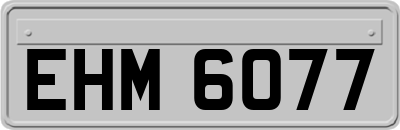 EHM6077
