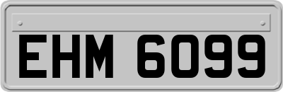 EHM6099