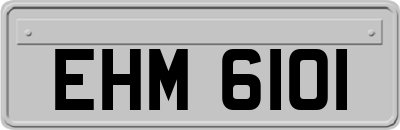 EHM6101