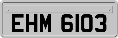 EHM6103