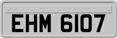 EHM6107