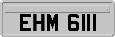EHM6111