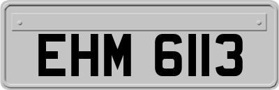 EHM6113