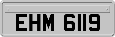 EHM6119