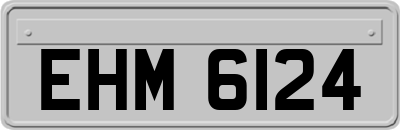 EHM6124