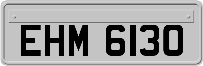 EHM6130