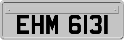 EHM6131