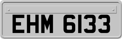 EHM6133