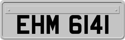 EHM6141