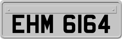 EHM6164
