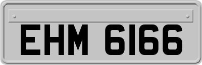 EHM6166