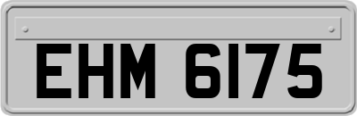 EHM6175