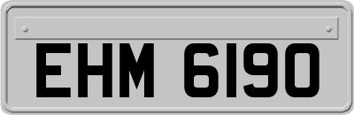 EHM6190