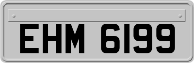 EHM6199