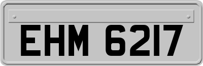 EHM6217