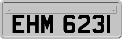 EHM6231