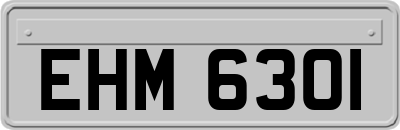 EHM6301