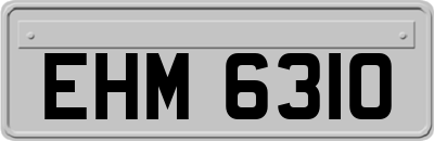 EHM6310